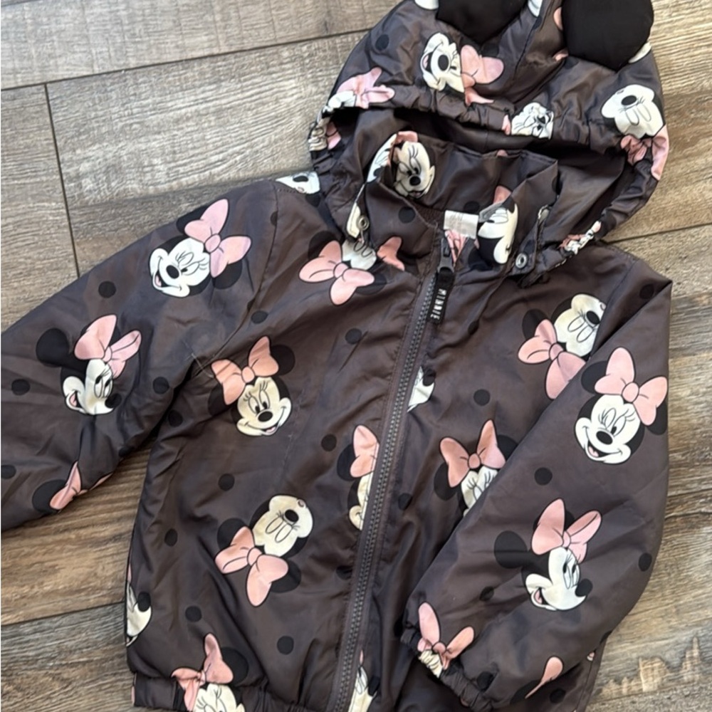 Disney Gray and Pink Character Jacket